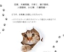あなたの心に寄り添いながら、現実的な解決へ導きます 家族や友人に話せないお悩みも、お気軽にご相談くださいね⭐︎ イメージ1