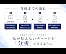 お試しでトレーダー育成します 後付け分析・手法探し　を卒業させます イメージ2