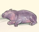 アナログ風の動物イラストを描きます お好きな動物の写真からあたたかみのあるイラストを描きます! イメージ4