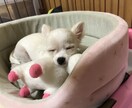 鬱や摂食障害、HSPでお悩み方のお話を聞きます 身近な人には話せない様な心のお悩みを聞かせてください♪ イメージ4