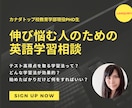伸び悩む方必見！　英語学習ご相談何でも伺います カナダトップ校教育学部PhD生が適格にアドバイス！ イメージ1
