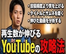 YouTubeチャンネル成長サポートします まずはお試し1500円〜 初出品キャンペーン中です！ イメージ4
