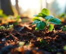 占星術&ヘミシンクで魂の旅をサポートします 初出店⭐︎先着10名様⭐︎ヒーリング2名様（動物可）無料⭐︎ イメージ9