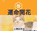 あなたの魂の設計図を読み解き導きます 陰陽六行×健康科学占導鑑定|心身の乱れ･人生の課題を総合的に イメージ1