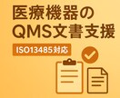 QMSのプロがISO13485の文書レビューします 要求事項に準拠した手順書のサポートをします イメージ1