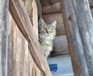 身の回りの写真を撮ります 都会とは違った田舎ならではの風景をどうぞ… イメージ1