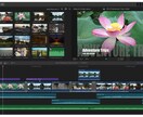 ご家族のご旅行を記念の動画にします かけがえの無い家族の思い出を『ムービー』にして残そう イメージ1