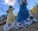 うちの子の「オリジナルワッペン」作成します 愛犬のオリジナルワッペンを作成！ イメージ6
