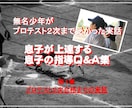 少年野球　中学生野球指導相談　（お父さんの為の息子の指導のお手伝いを致します。）　 イメージ2