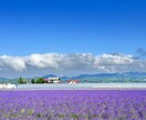 ご希望に沿って国内旅行の行程を作成します あなただけの旅行プランを提案します イメージ7