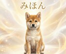 写真から目を見て人やペット霊魂を鑑定いたします 霊魂鑑定は人の魂のもつ特質や本性を読み解くための鑑定です。 イメージ5