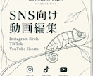 SNS向けショート動画をおしゃれに編集しますます SNS(インスタリール等)、店舗PRなど幅広く対応 イメージ2