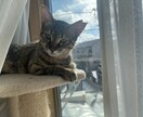 モヤモヤを言語化し整理しますます 気持ちの中身を分けて見ていきます イメージ6