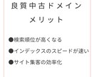 あなたにピッタリの中古ドメインを3つ選定します プロが選定のお手伝い♪選定の解説付き！次回以降は自分でできる イメージ2