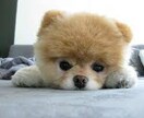 愚痴聞き・悩み相談ます 自分の経験を生かした人間味のある相談・話をできると思います。 イメージ1