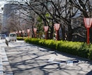 1枚200円で最低5枚からの写真を提供します 京都の街並と自然風景に興味を持っている方へ イメージ4