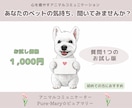 お試し版★アニマルコミュニケーションします ★ペットの気持ちをやさしくお伝えします イメージ1