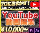 プロがYouTube動画の編集を代行します カット作業、テロップ挿入、ＢＧＭ挿入、サムネイル作成など イメージ1