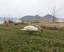 北海道旅行を考え中のあなたへモデルコースを考えます 現地民おすすめの穴場スポットもご紹介していきます！ イメージ7