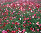 本当の幸せに辿り着きます 真実の愛と光を求めておられる方へ☆ イメージ1
