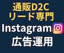 通販・リード専門！Instagram広告運用します 【実績50社超】目標CPA1/2・CV数250%成長！ イメージ1