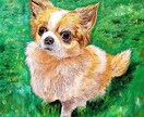 ペットの画像お気に入りの画像から絵画を描きます アクリル絵の具を使いA4サイズのキャンパスで描きます イメージ3