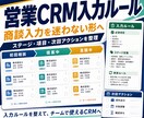 営業CRM入力ルールを作ります 商談入力を迷わない形へ整備します イメージ1