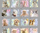 Happy Color｜LINEスタンプ作ります お子さまのお写真やペットのお写真で。プレゼントにも！ イメージ9