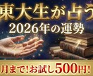 １月限定500円！東大生の知能があなたを占います 東大生があなたの運勢を徹底解析。生年月日と画数の精密診断 イメージ1
