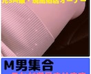M男の為の……満足させます 元風俗S嬢によるお話どうですか？ イメージ1