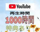 YouTube再生時間増やします ★チャンネル収益化のお手伝い！1000時間再生数増やします★ イメージ1