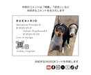 モノクロでおしゃれな『うちの子名刺』を作成します ペットイベントやお散歩中の自己紹介にぴったり！ イメージ4