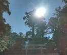 本格的霊感霊視！目にとまった方鑑定します 今、目にとまりませんでしたか？オラクルカードで鑑定致します イメージ1