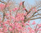 うまく言葉にできない悩み、やさしく整理します 「なんかモヤモヤ」を一緒に言葉にします。一歩踏み出したい方へ イメージ2