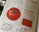 なんでも屋さん、お話しききます 内容は雑談、悩み、不安、仕事、趣味、人間関係なんでもok イメージ1