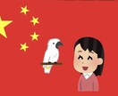 中国語発音矯正いたします 日中ハーフによる中国語の発音矯正&日常会話！ イメージ1