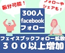 Facebookページフォロー数３００人増加します 【保証10日間】！シェアも同価格！いいねは１５００円 イメージ1