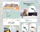最大20枚！売れるページ構成企画〜商品画像作ります 【本気】現役EC運営責任者だから分かる「売れる商品画像」 イメージ7