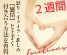 ２週間★感情整理術で自分を幸せにする方法教えます 夫婦・恋愛・人間関係のイライラ・モヤモヤを自己肯定の材料に！ イメージ4