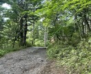 お悩み解決に向けて精一杯鑑定させていただきます 恋愛、人間関係、仕事の流れなど気になることなんでもOKです。 イメージ4