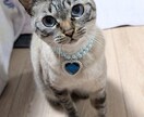 ５日間あなたの悩みを全て受け止めます 看護師、メンタル士心理カウンセラーの資格あり。 イメージ3