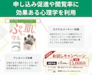 原稿サポート付きでWeb集客のLPを制作します 消費者心理学・経済行動学・ターゲットに合うLP制作で売上UP イメージ3