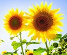 誰か私の話聴いて ! ハイ ! 私がお聴きします 心の重たい荷物を半分持たせて下さい！ イメージ1