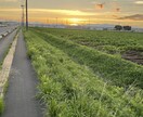 安心して話せる相談室を開きます 誰にも言えない悩みを優しく受け止めます イメージ1