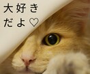 たまには甘えてみよ？泣けないあなたを甘やかします 誰にもバレない秘密の居場所♥️弱音や愚痴、私にだけ聞かせて♡ イメージ6