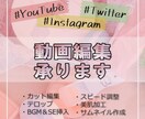 YouTube/SNS等の動画編集承ります お子様やペットからビジネスも♪イメージを大切に編集します イメージ1