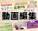 期間限定20%OFF！　各ジャンル動画編集します YouTube、SNSリール、企業PRなんでもお任せください イメージ8