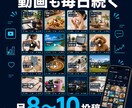 TikTok・リール・ショート動画投稿代行します リール・TikTok・YouTubeショート対応 イメージ6