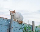 アイデアの切欠、提供します 貴方の日常が求めるものの、切欠作りをお手伝いします。 イメージ1