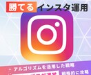 現役プロが勝てるインスタ運用代行いたします 【期間限定の新プラン】Instagramの運用代行です。 イメージ1